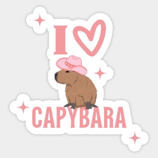 Capybara Preppy Aesthetic Sticker